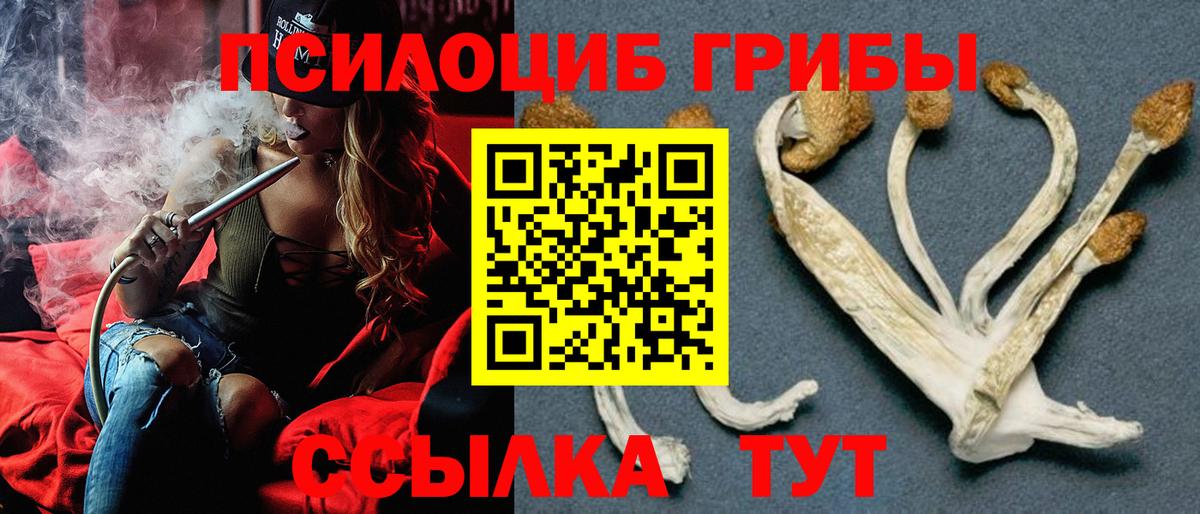 Псилоцибиновые грибы мицелий Воскресенск
